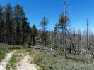 photo thumbnail #3