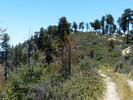 photo thumbnail #12