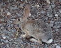 photo thumbnail #2