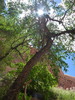 photo thumbnail #13