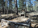 photo thumbnail #1