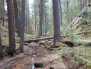 photo thumbnail #2