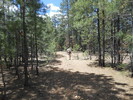photo thumbnail #4