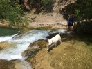 photo thumbnail #5