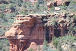 recent photo