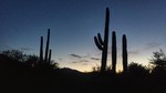 photo thumbnail #12