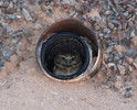 photo thumbnail #3