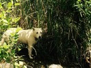 photo thumbnail #7