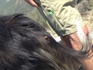 photo thumbnail #1
