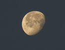 photo thumbnail #1