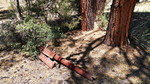 photo thumbnail #5