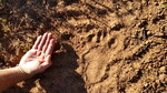 photo thumbnail #12