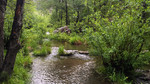 photo thumbnail #4