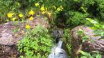 photo thumbnail #13