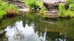 photo thumbnail #14