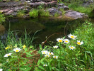 photo thumbnail #15