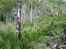 photo thumbnail #8