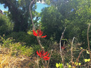 photo thumbnail #6