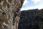 photo thumbnail #7