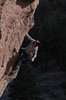 photo thumbnail #8