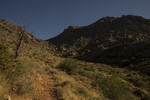 photo thumbnail #9