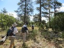 photo thumbnail #5