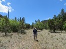 photo thumbnail #8
