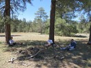 photo thumbnail #12