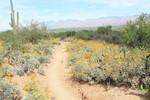 photo thumbnail #8