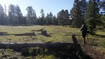 photo thumbnail #3