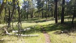 photo thumbnail #6