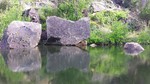 photo thumbnail #3