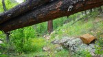 photo thumbnail #9