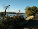 photo thumbnail #4
