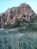 2015-05-29 :1: Peavine National Recreation Trail :: Fatesjoke