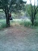 photo thumbnail #1
