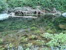 photo thumbnail #12