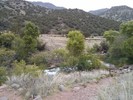 photo thumbnail #2