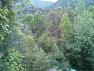 photo thumbnail #12