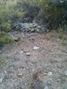 photo thumbnail #12
