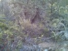 photo thumbnail #14
