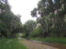 photo thumbnail #2