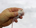 photo thumbnail #1