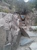 photo thumbnail #8