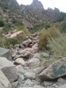photo thumbnail #12