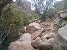 photo thumbnail #14