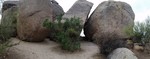 photo thumbnail #7