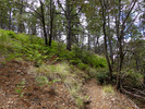 photo thumbnail #10