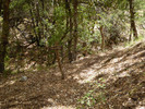 photo thumbnail #13