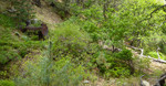 photo thumbnail #14